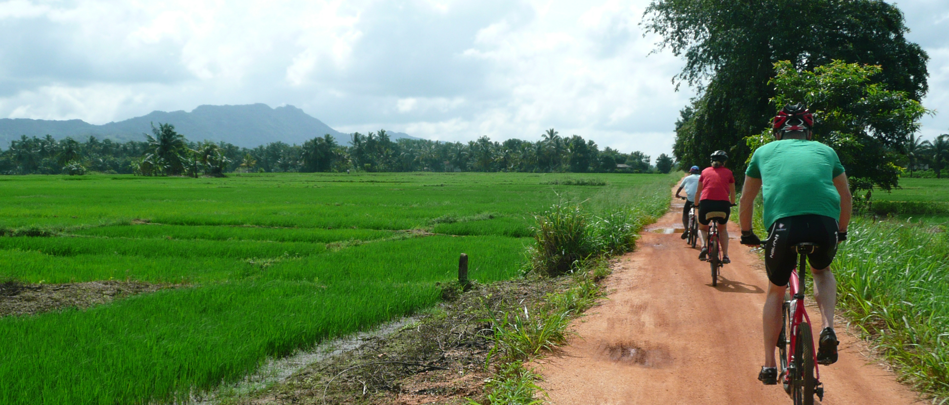 cycling trough paddy field and country side in Sri Lanka