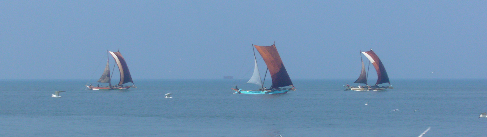 Fahrrad-tour-sri-lanka