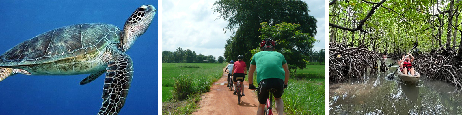 Fahrrad-tour-sri-lanka