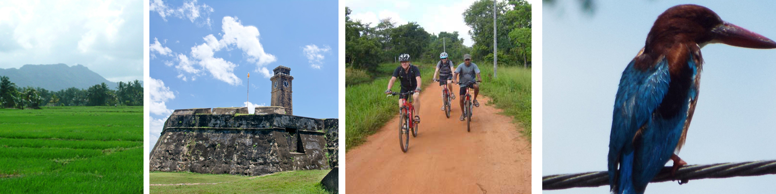 Fahrrad-tour-sri-lanka