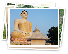 Sri Lanka Bike tour passing Buddha Statue at road side